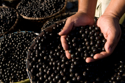 8 benefícios do açaí: saiba como consumir e o que faz no corpo